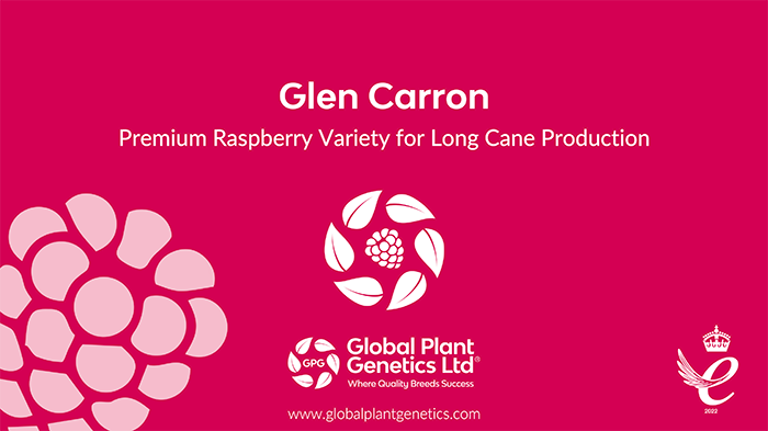 Glen Carron